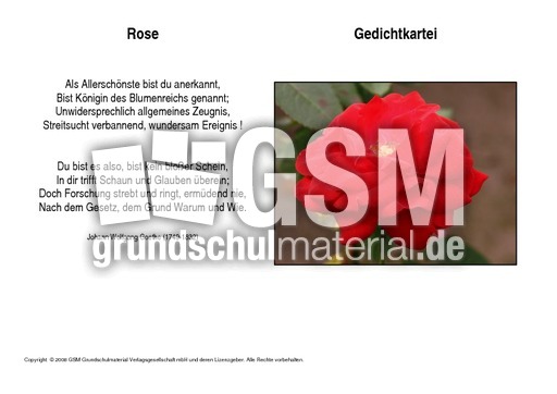 Rose-Goethe.pdf